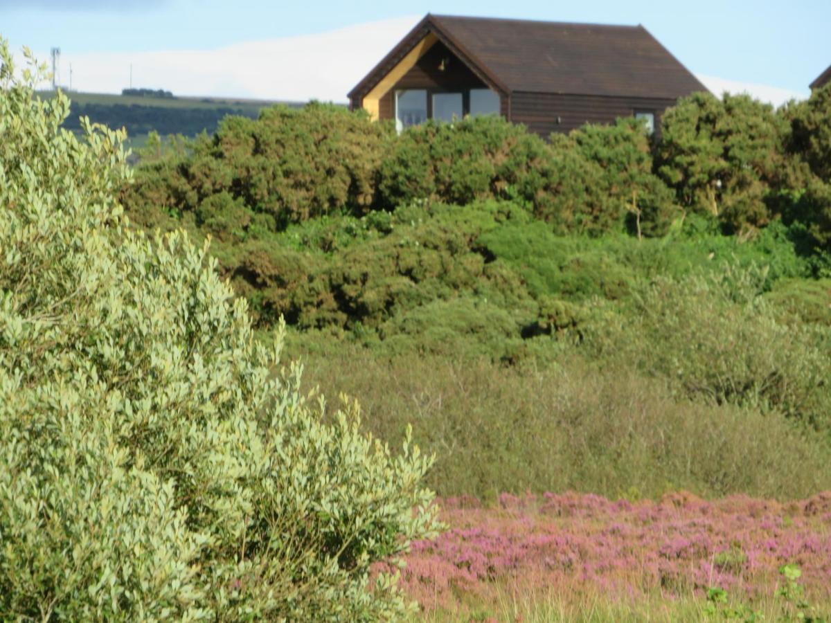 Islandcorr Farm Luxury Glamping And Self Catering Cottage, Giant's Causeway